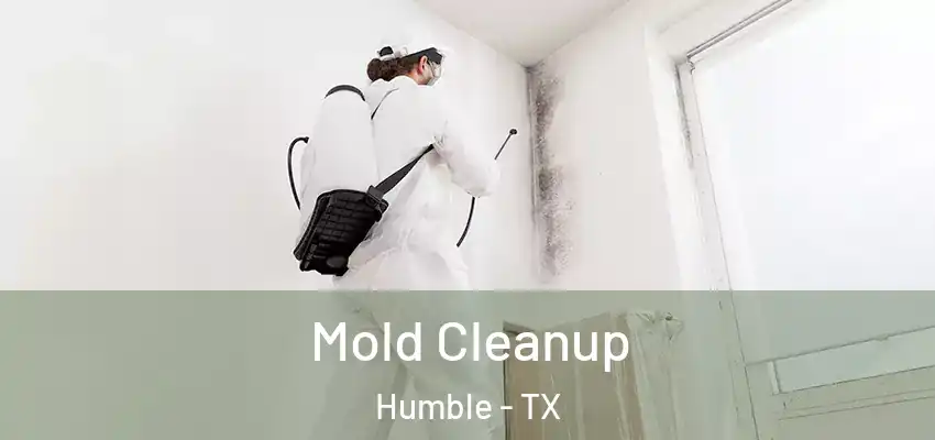  Mold Cleanup Humble - TX