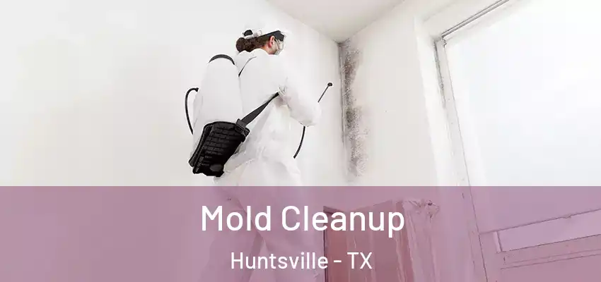 Mold Cleanup Huntsville - TX
