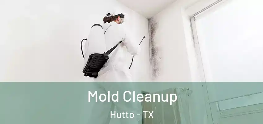  Mold Cleanup Hutto - TX