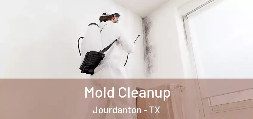  Mold Cleanup Jourdanton - TX