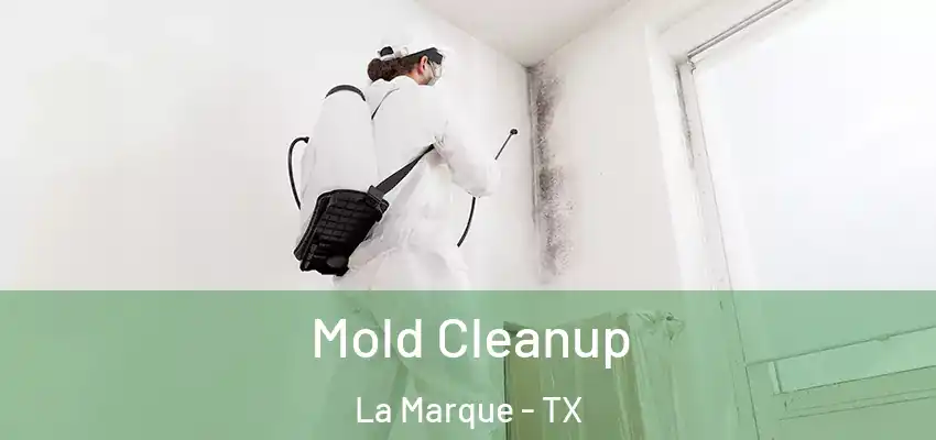  Mold Cleanup La Marque - TX
