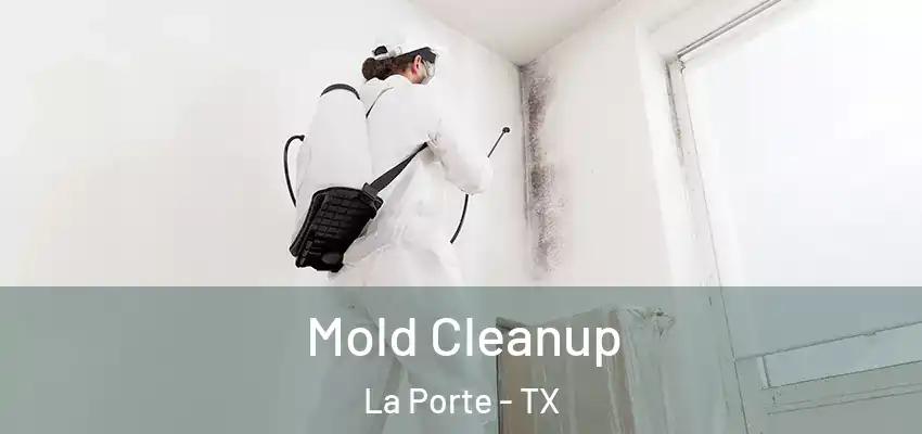 Mold Cleanup La Porte - TX