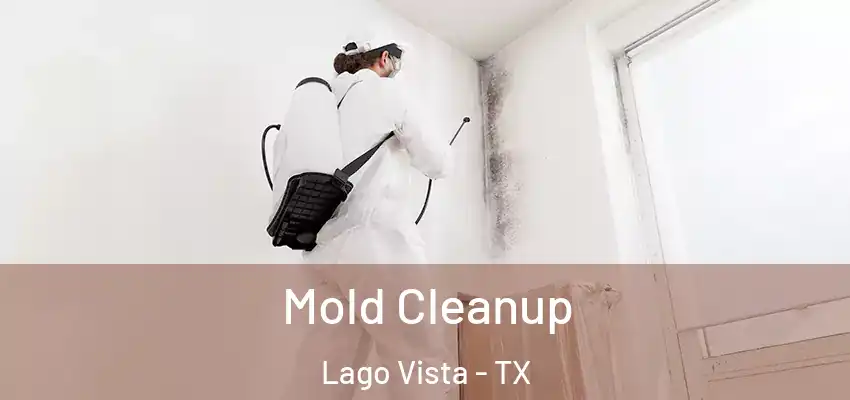  Mold Cleanup Lago Vista - TX