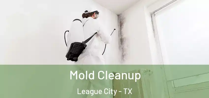  Mold Cleanup League City - TX
