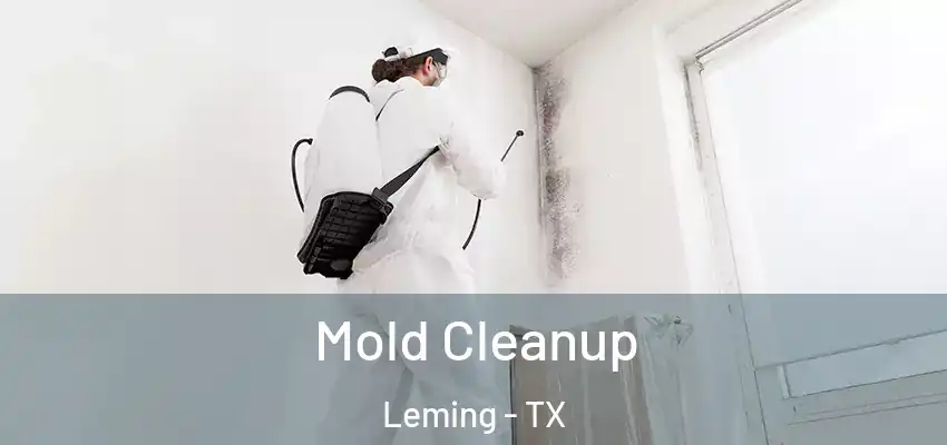  Mold Cleanup Leming - TX