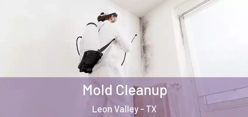 Mold Cleanup Leon Valley - TX