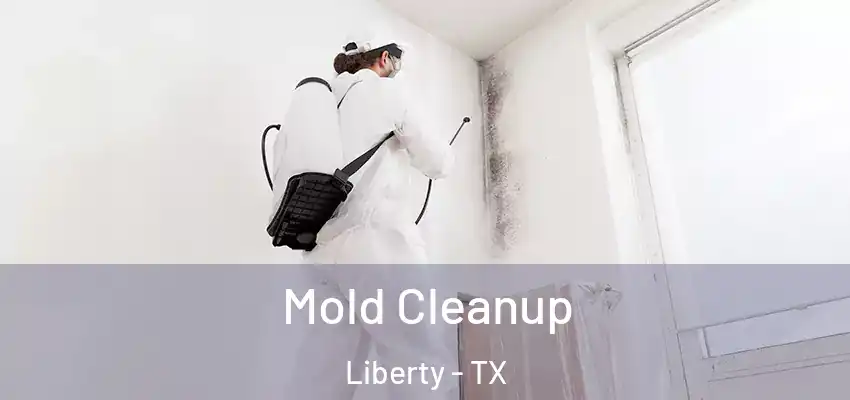  Mold Cleanup Liberty - TX
