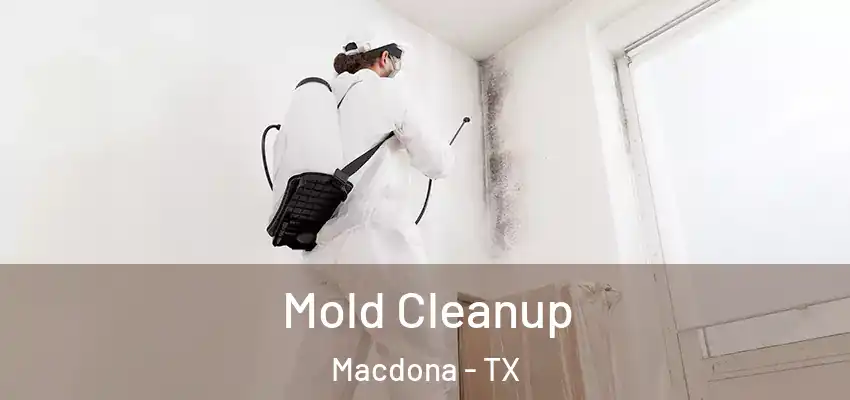 Mold Cleanup Macdona - TX
