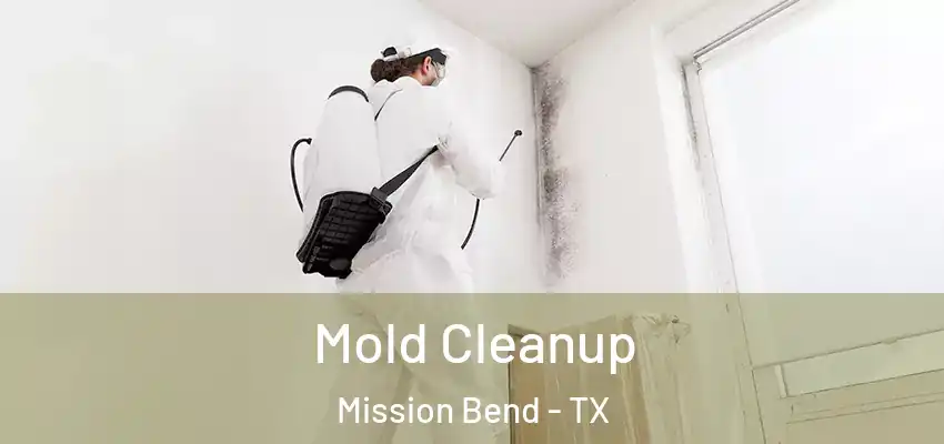  Mold Cleanup Mission Bend - TX
