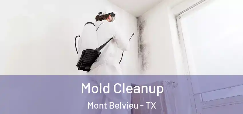  Mold Cleanup Mont Belvieu - TX
