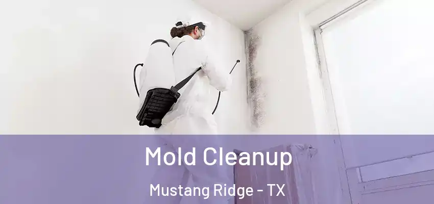  Mold Cleanup Mustang Ridge - TX