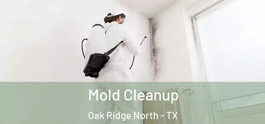  Mold Cleanup Oak Ridge North - TX
