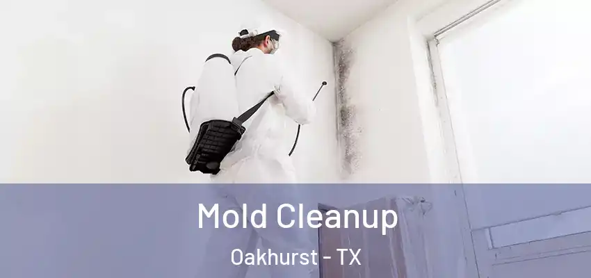  Mold Cleanup Oakhurst - TX