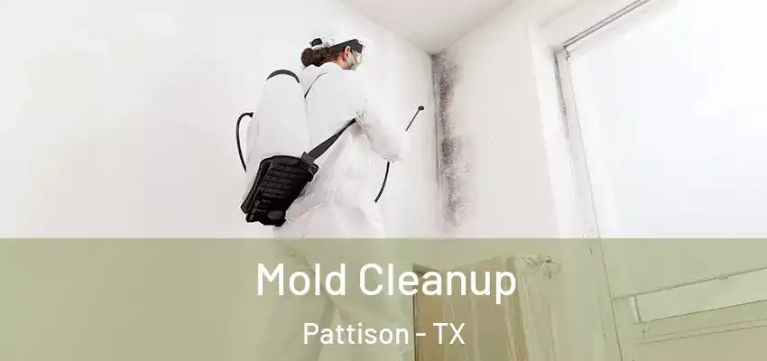  Mold Cleanup Pattison - TX