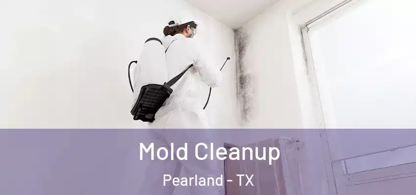  Mold Cleanup Pearland - TX