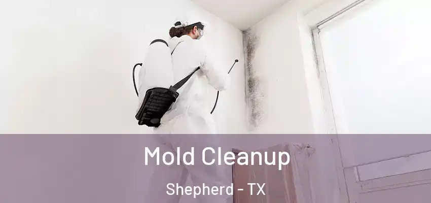  Mold Cleanup Shepherd - TX