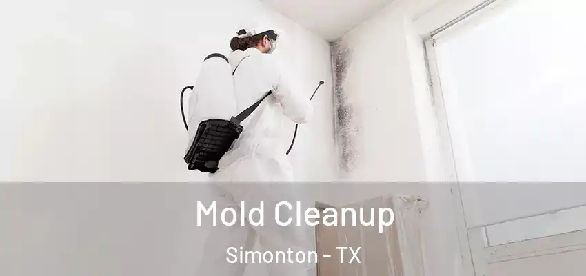  Mold Cleanup Simonton - TX