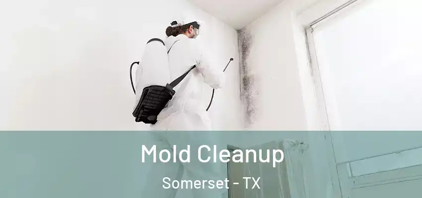  Mold Cleanup Somerset - TX