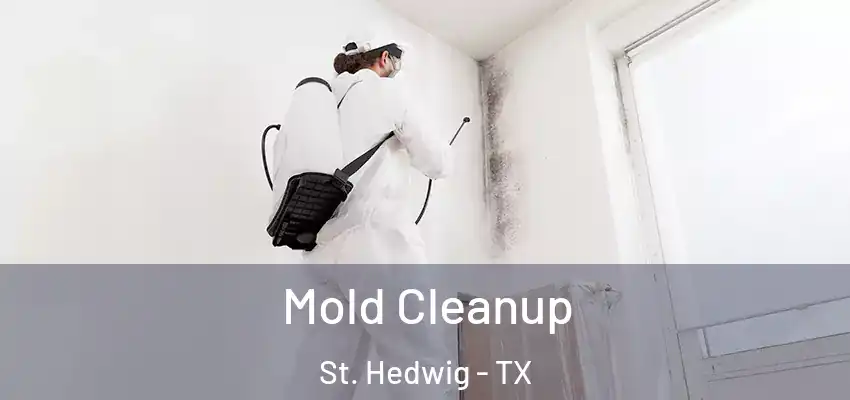 Mold Cleanup St. Hedwig - TX