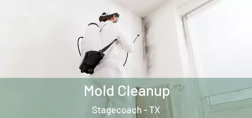 Mold Cleanup Stagecoach - TX