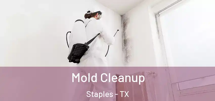  Mold Cleanup Staples - TX