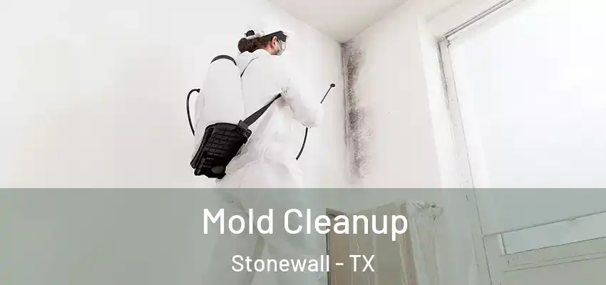  Mold Cleanup Stonewall - TX