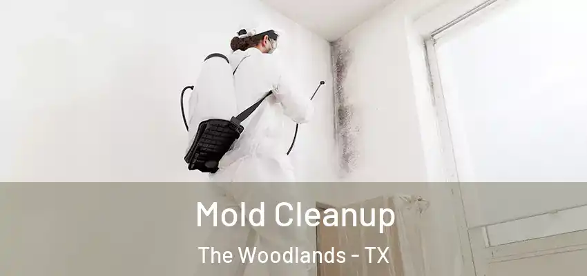  Mold Cleanup The Woodlands - TX