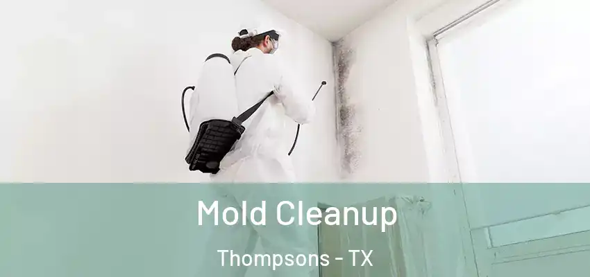  Mold Cleanup Thompsons - TX
