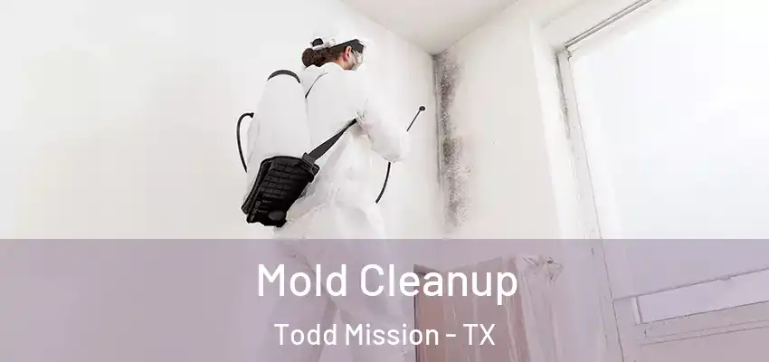  Mold Cleanup Todd Mission - TX