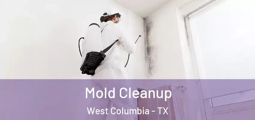  Mold Cleanup West Columbia - TX