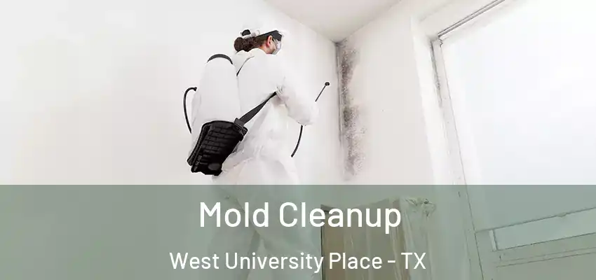 Mold Cleanup West University Place - TX