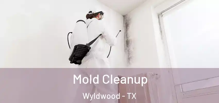  Mold Cleanup Wyldwood - TX