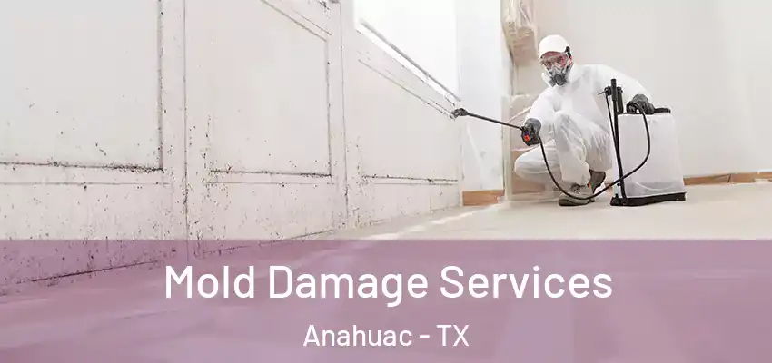  Mold Damage Services Anahuac - TX