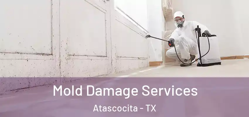  Mold Damage Services Atascocita - TX