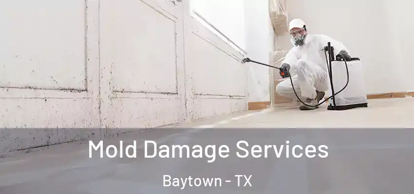  Mold Damage Services Baytown - TX