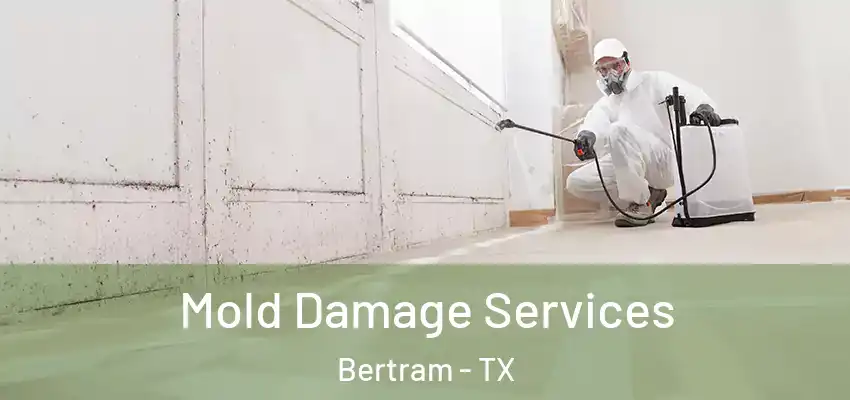  Mold Damage Services Bertram - TX