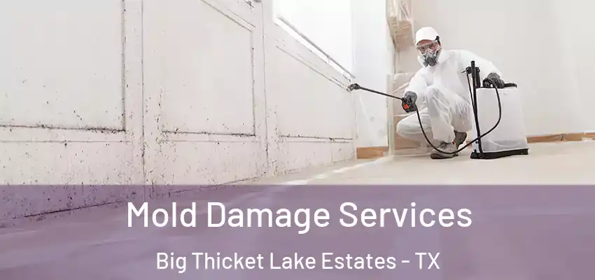  Mold Damage Services Big Thicket Lake Estates - TX