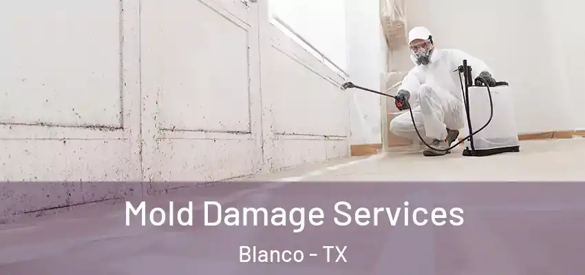 Mold Damage Services Blanco - TX