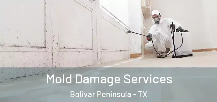  Mold Damage Services Bolivar Peninsula - TX