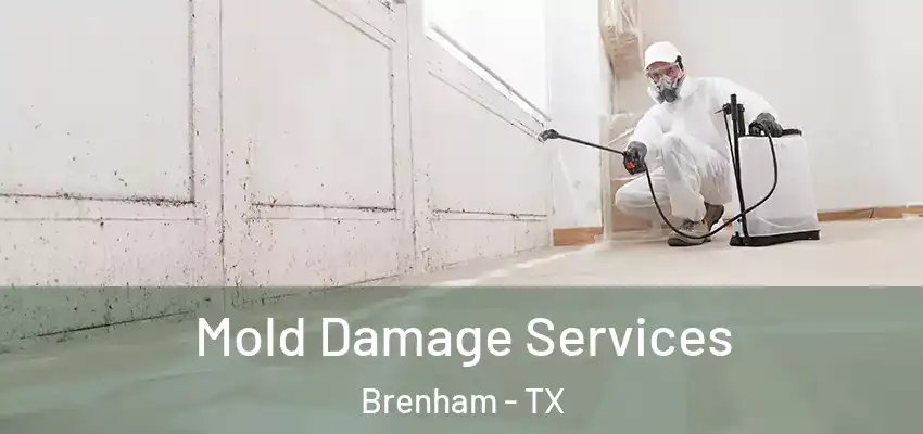  Mold Damage Services Brenham - TX