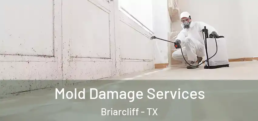  Mold Damage Services Briarcliff - TX