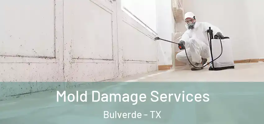  Mold Damage Services Bulverde - TX