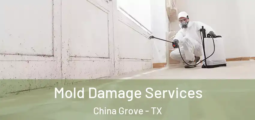  Mold Damage Services China Grove - TX