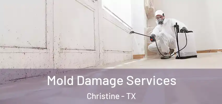  Mold Damage Services Christine - TX