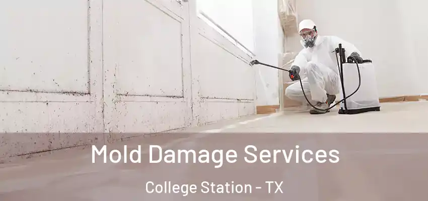 Mold Damage Services College Station - TX