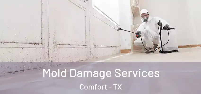 Mold Damage Services Comfort - TX