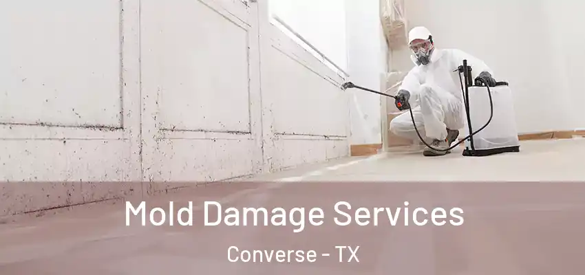 Mold Damage Services Converse - TX