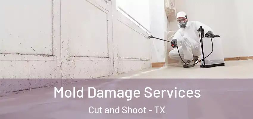  Mold Damage Services Cut and Shoot - TX