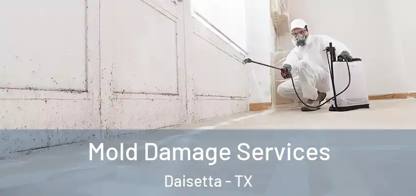  Mold Damage Services Daisetta - TX