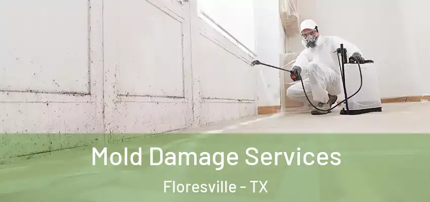  Mold Damage Services Floresville - TX